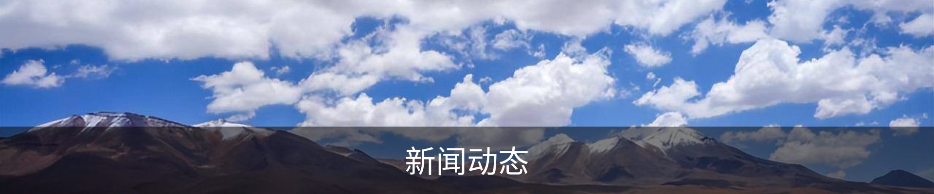 新闻动态