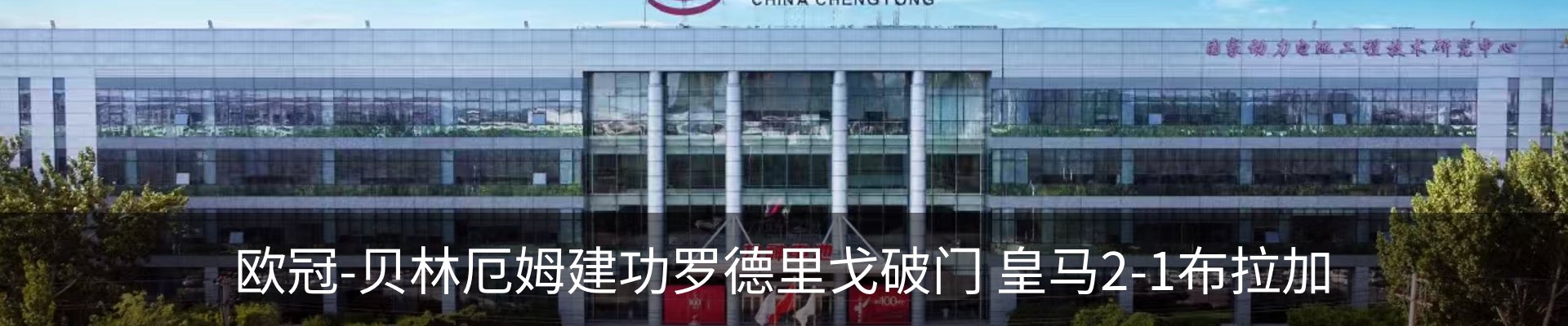 新闻动态